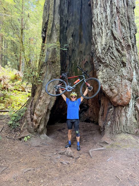 Redwoods!