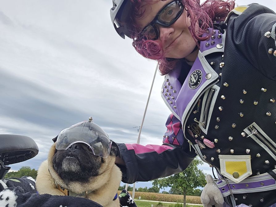Trip with my pug