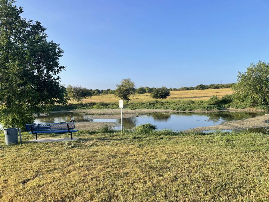 Warren Park upper Pond is dry