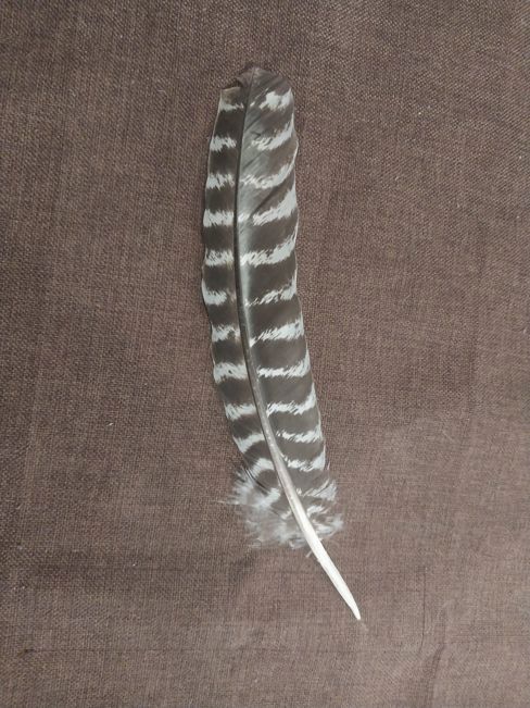 A smidge more - 9/18/26