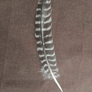 5192899