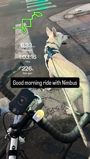 This Morning