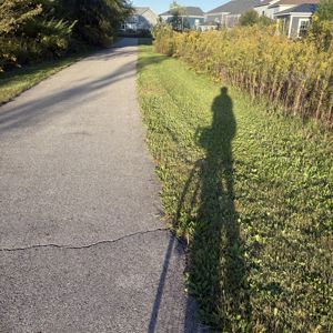 5233896