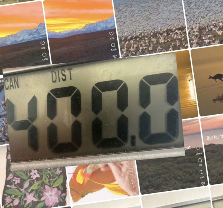 Odometer