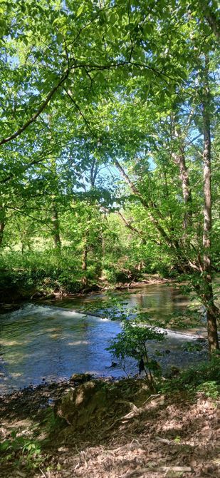 The creek on the Greenbelt